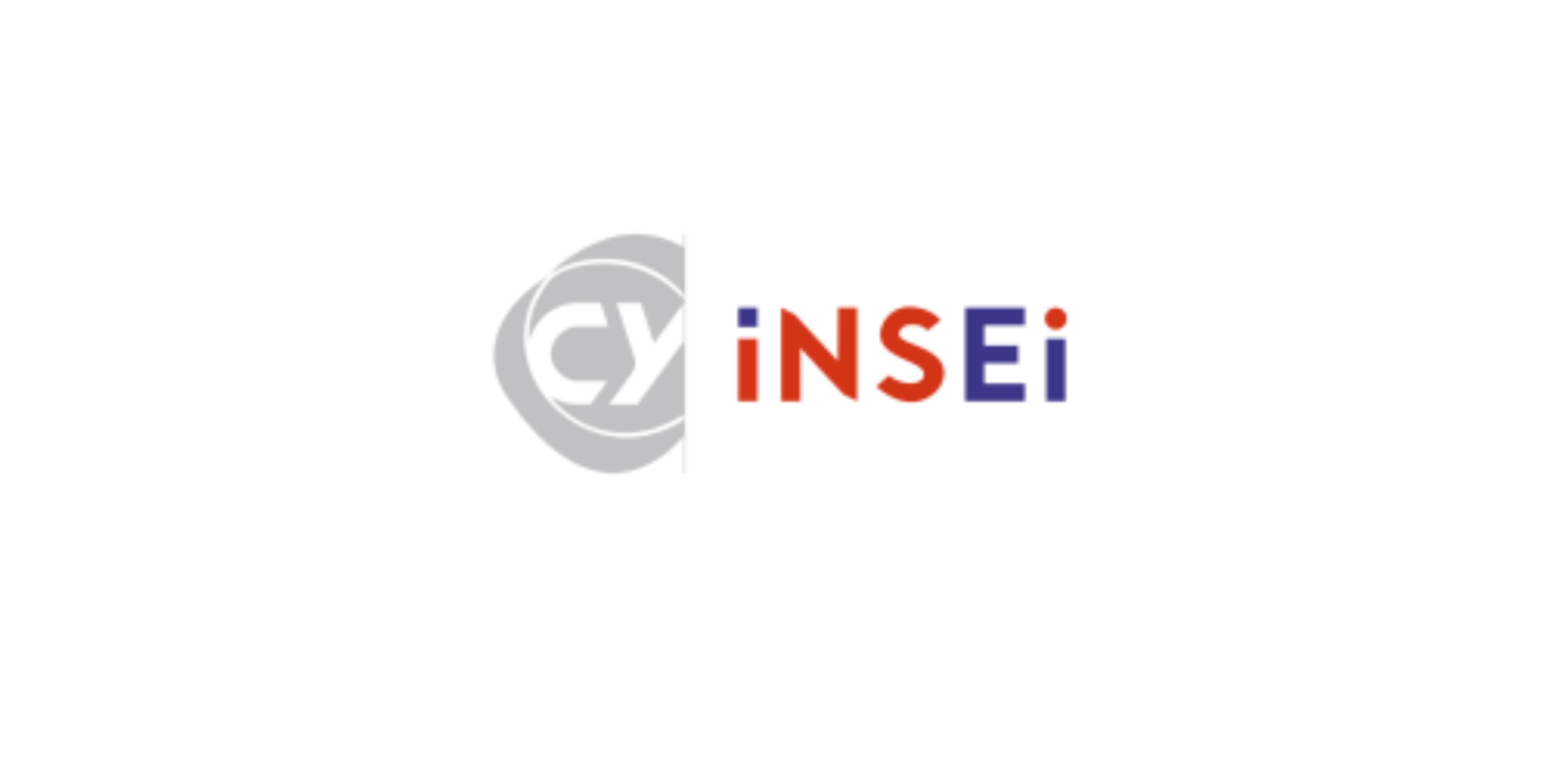 logo INSEI